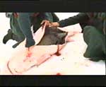 Историческая мелодрама "Русский бунт"