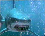 Триллер "Глубокое синее море" (Deep Blue Sea).