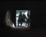Эксцентрическая комедия "Быть Джоном Малковичем" (Being John Malkovich)