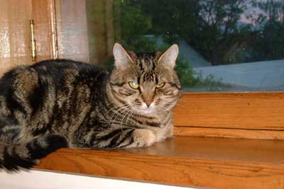 10.jpg (14503 bytes)